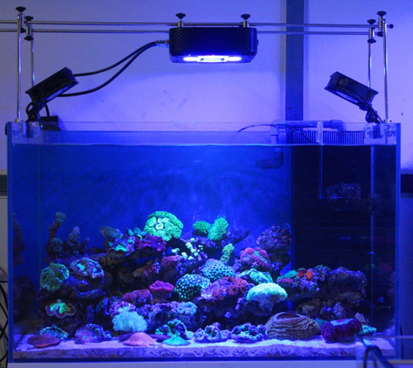 Светодиодный led cветильник для аквариума с морской водой WhiteSun 85S SSMR (CREE)