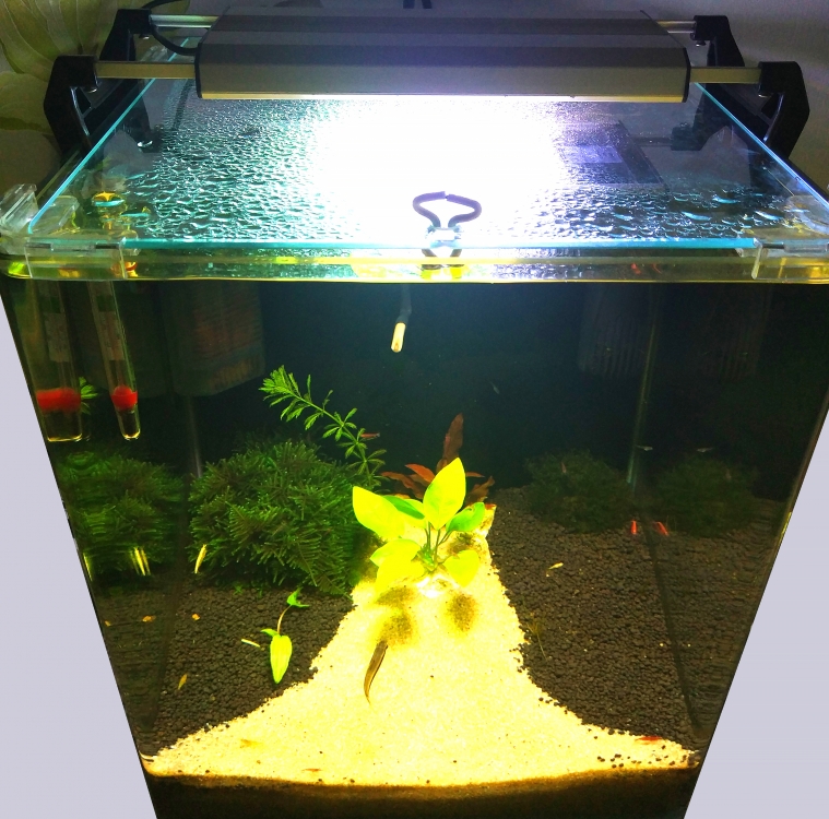 Светодиодный led cветильник для освещения аквариумов c пресной водой SLIMIC 15F (длина 20см, 15Вт)