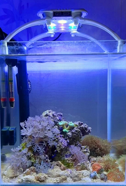 Светодиодный led cветильник для освещения аквариумов c морской водой MINIC 30S <strong>(длина 28см, 30Вт)</strong>